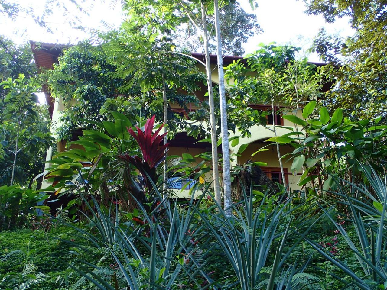 Morrillo Beach Eco Resort Exteriér fotografie