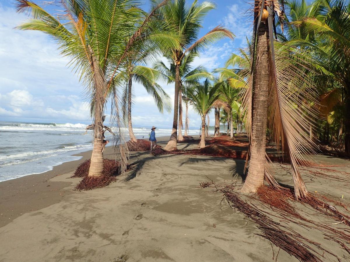 Morrillo Beach Eco Resort Exteriér fotografie
